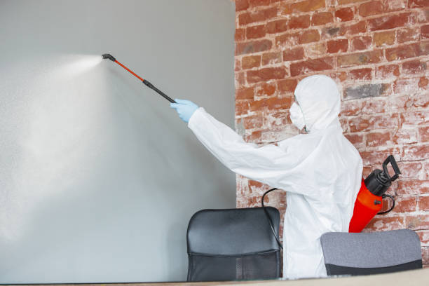 Best Post-Remediation Verification Testing  in Lynn, IN