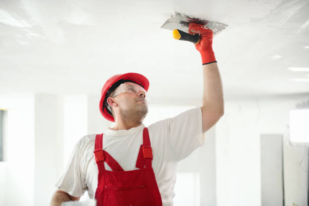 Best Dehumidification Services  in Lynn, IN