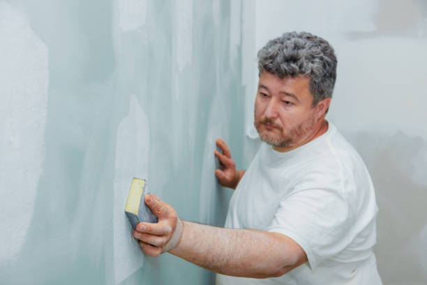 Best Comprehensive Air Testing for Mold Contaminants  in Lynn, IN