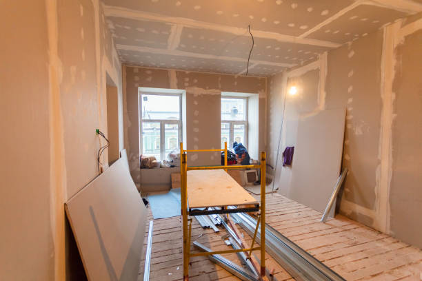 Best Basement Mold Removal  in Lynn, IN