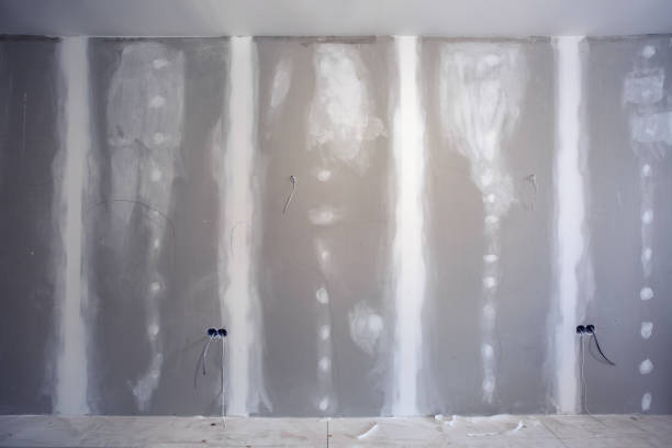 Best HVAC Mold Inspection and Cleaning  in Lynn, IN