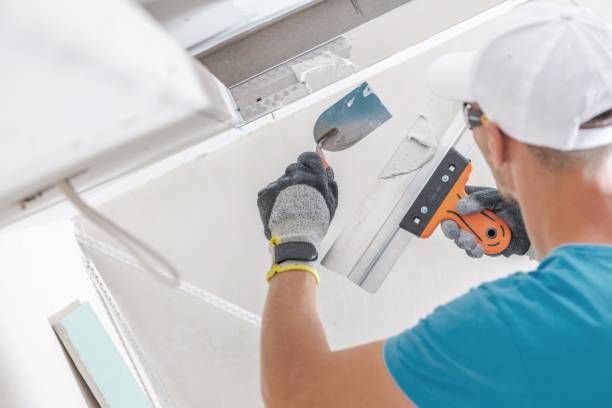 Best Airborne Mold Testing  in Lynn, IN